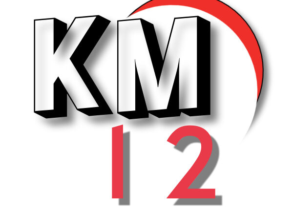 Logo 12